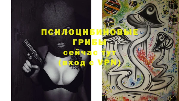 Альфа ПВП Абаза