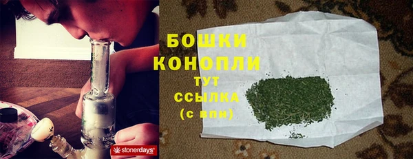 ПСИЛОЦИБИНОВЫЕ ГРИБЫ Похвистнево
