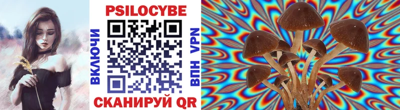 Галлюциногенные грибы MAGIC MUSHROOMS  Шарыпово 